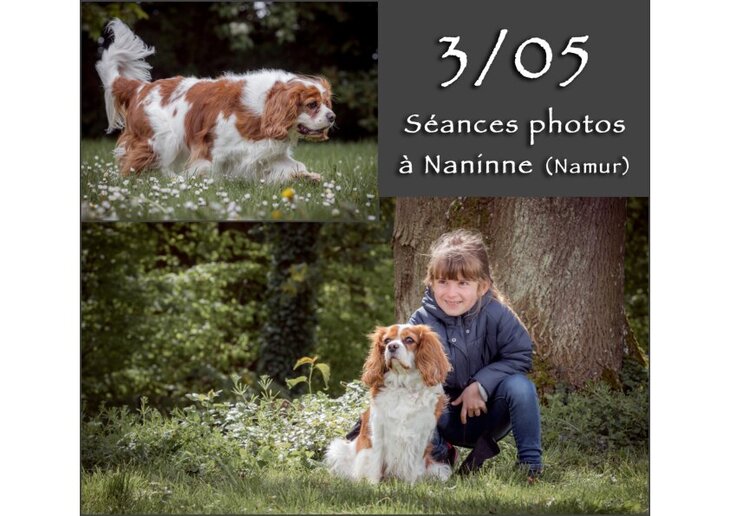 Stages,cours Séances photos chien-humain dans domaine privé, entièrement clôturé