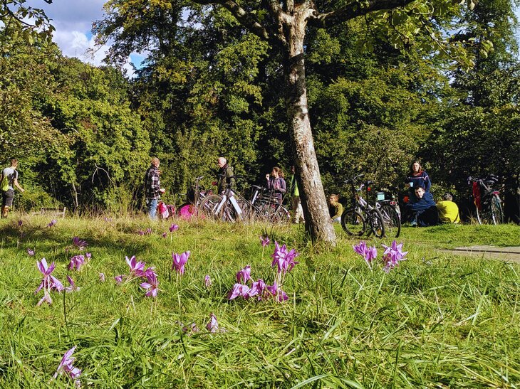 Loisirs Dimanche vélo - Parc la Sauvagère, Uccle