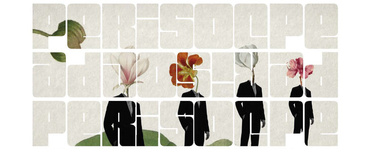 Spectacles Projection Périscope avec Vidéothèque Nomade