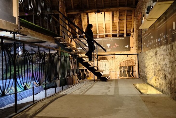 Loisirs Balade bucolique cœur Château Bioul & son vignoble