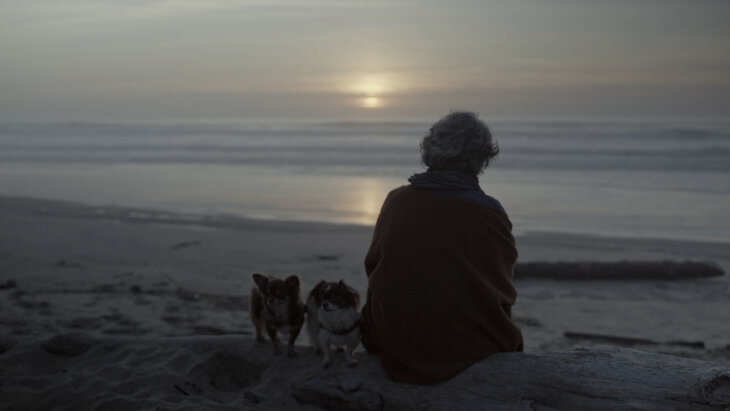 Spectacles Bienvenue dans monde femmes