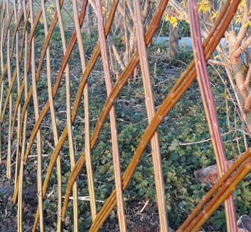 Stages,cours Atelier Vannerie