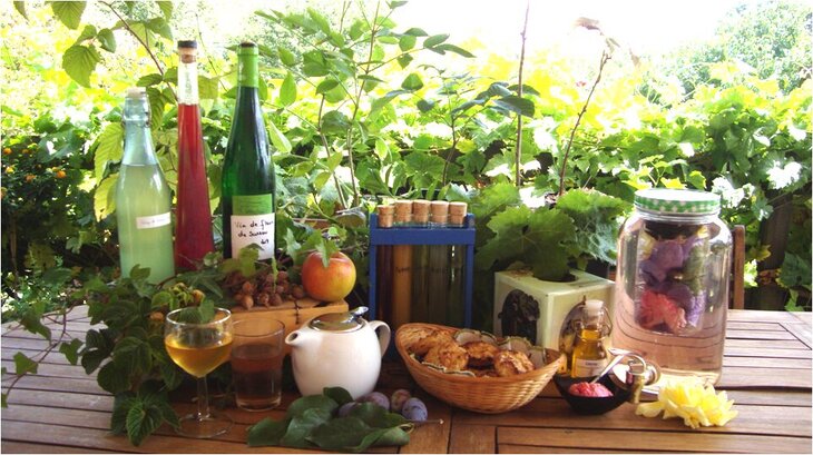 Stages,cours Les bienfaits arbres arbustes