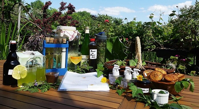 Stages,cours Les bienfaits sauvageonnes