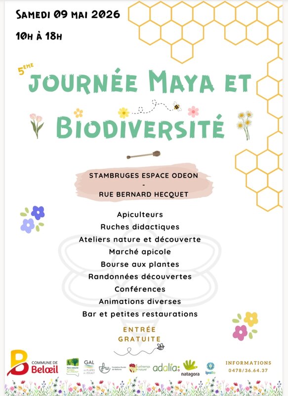 Loisirs 5 ème journée Maya Biodiversité