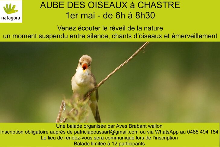 Loisirs Aube Oiseaux