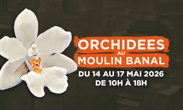 Expositions Exposition d orchidées Moulin Banal
