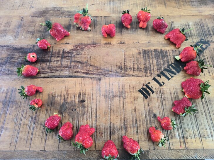 Loisirs Portes ouvertes Jardin Abeilles