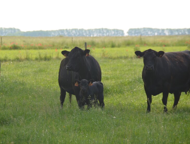 Loisirs À découverte la ferme la Coulbrie