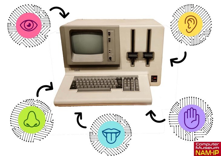 Stages,cours Informatique 5 sens