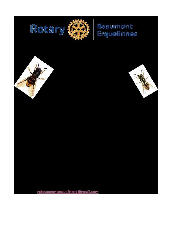 Conférences Conférence frelon asiatique