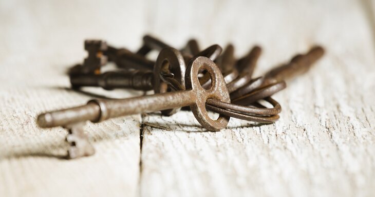 Stages,cours Néerlandais + Fort Boyard - Discoverers