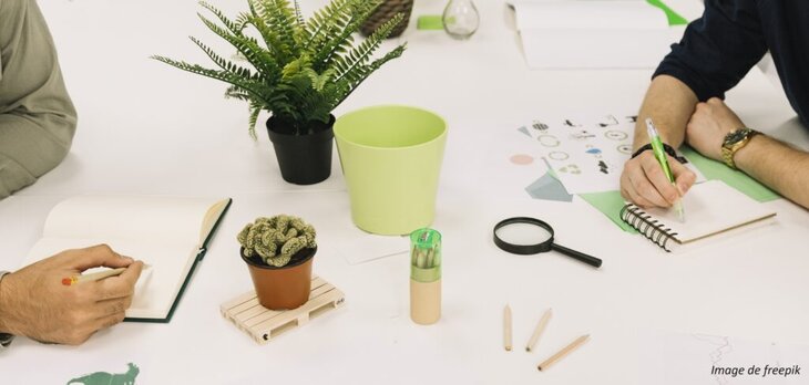 Stages,cours Mise vert avec prévention burn-out pour entreprises