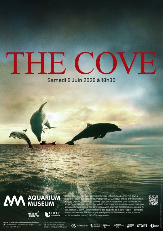 Conférences The Cove | baie la honte