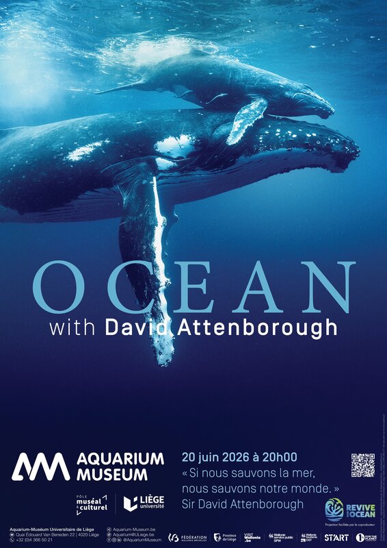 Conférences Ocean with David Attenborough