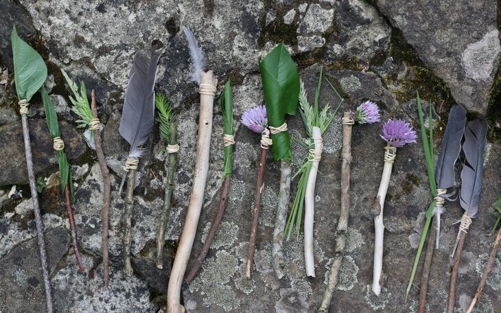 Stages,cours La nature mille jouets