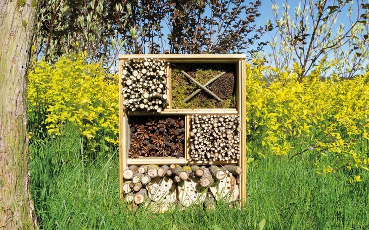 Stages,cours Aventure nature : biodiversité action 