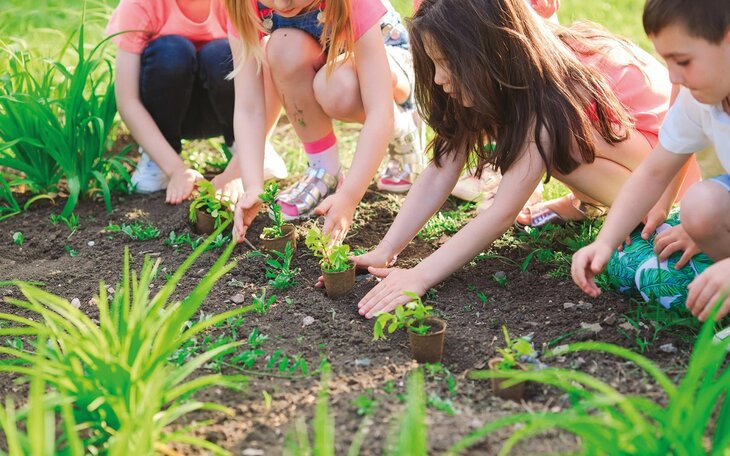 Stages,cours Les petits jardiniers : mission potager