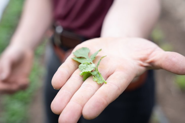 Loisirs Visite jardins aromatiques Potions Mana