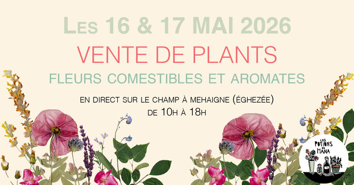 Loisirs Vente plants d aromatiques de fleurs comestibles