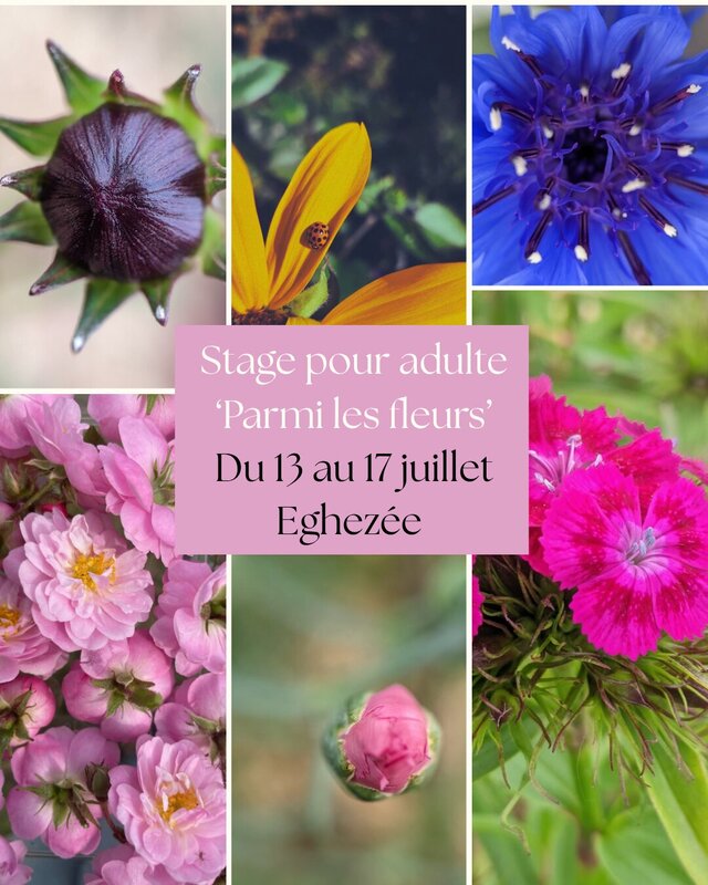 Stages,cours Stage pour adulte  Parmi fleurs 