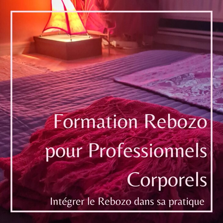 Stages,cours Formation Rebozo Intensive