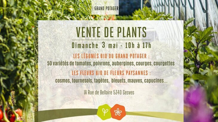 Loisirs Vente plants Grand Potager d Haltinne