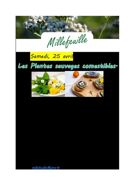 Conférences Les plantes sauvages comestibles