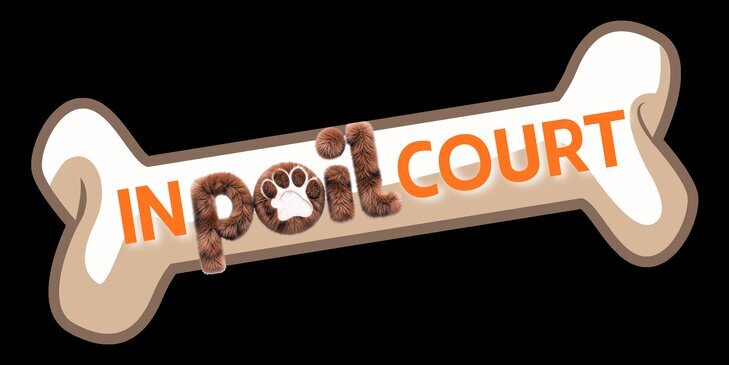 Loisirs InPOILcourt, journée bien-être animal