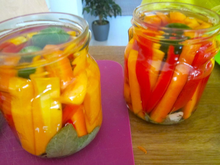 Stages,cours Atelier Cuisine Sauvage pour Adultes