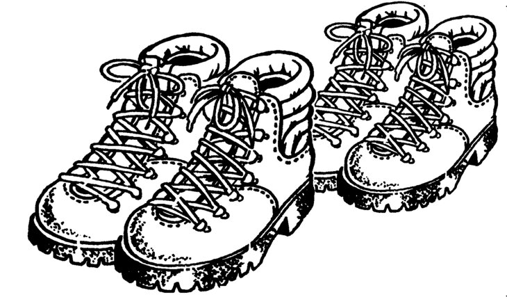 Loisirs 15ème Marche Adeps Glandier - Forêt la Vecquée