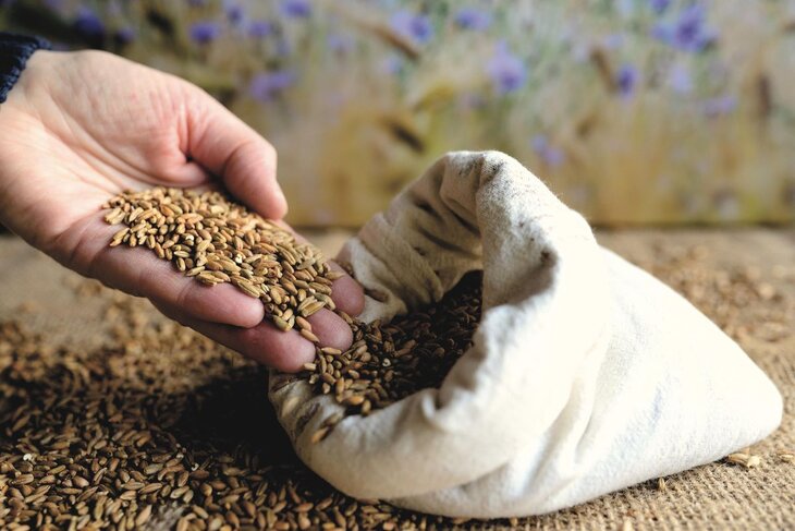 Conférences Conférence gesticulée