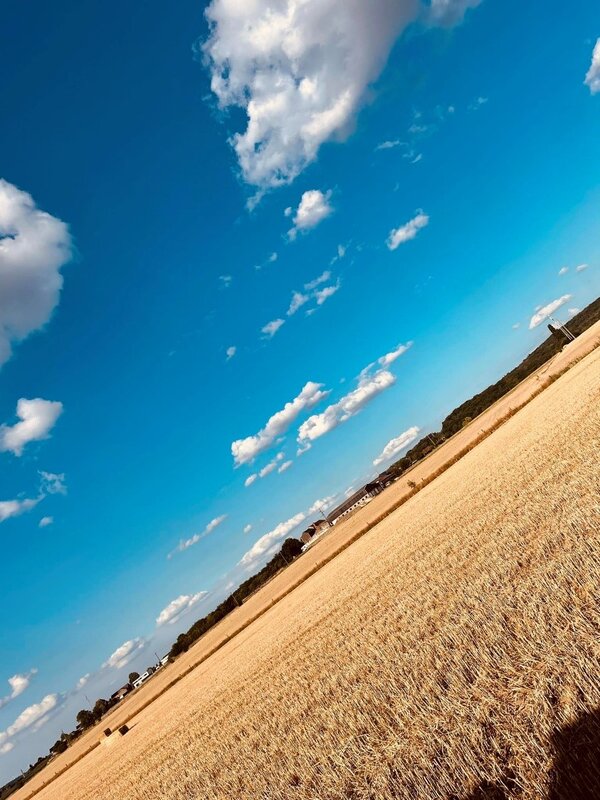 Loisirs En route pour tour fermes d’Aiseau-Presles