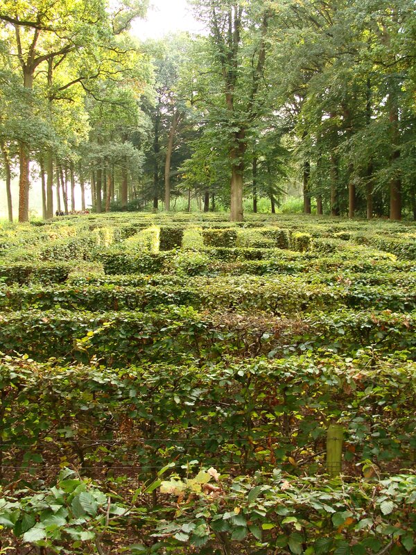 Loisirs Perdez-vous dans labyrinthe historique