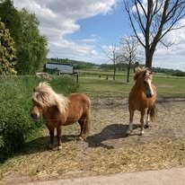 Loisirs Portes ouvertes la Ferme Clocher