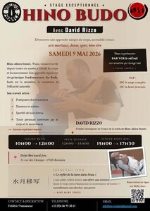 Stages,cours Stage Hino Budo animé David Rizzo