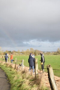 Stages,cours Réalisation d une haie sèche Parc Asnapio