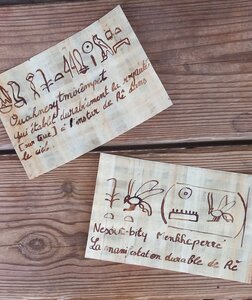 Stages,cours Stage  Trésors Proche-Orient 