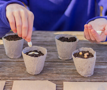 Stages,cours Créer potager pot