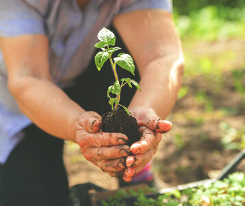 Stages,cours Atelier : Réussir plantations »