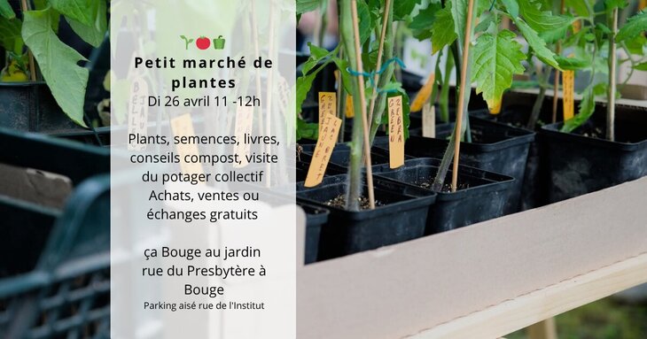Loisirs Petit marché plantes