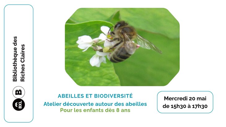 Stages,cours Atelier découverte autour abeilles