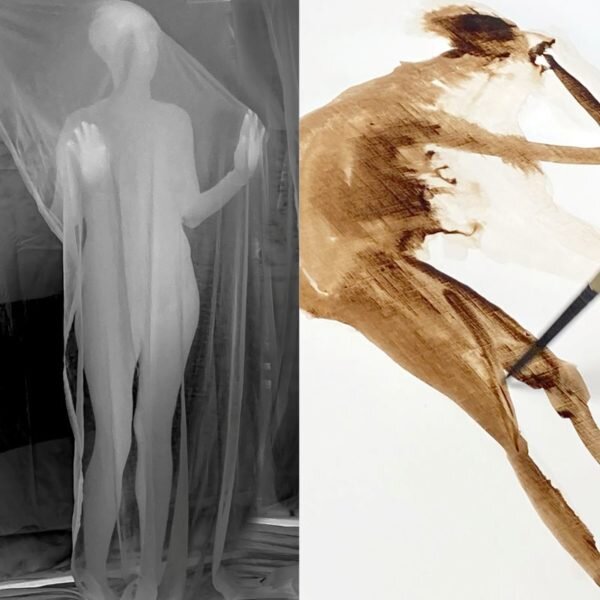 Stages,cours Stage dessin corps ses contrastes