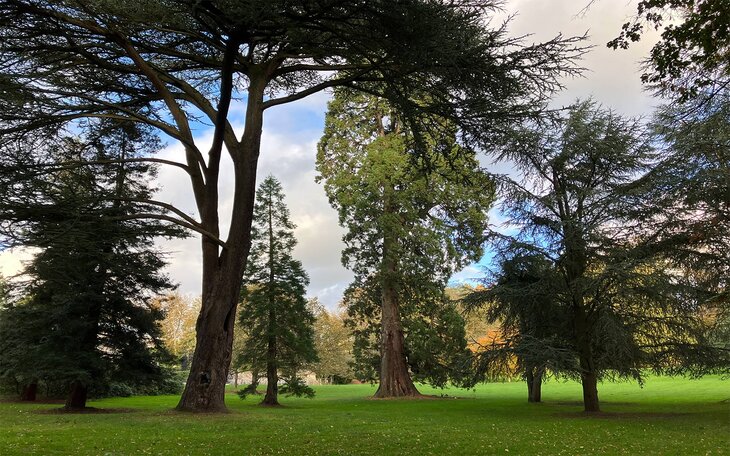 Loisirs PaJaWa - Visite générale familiale parc