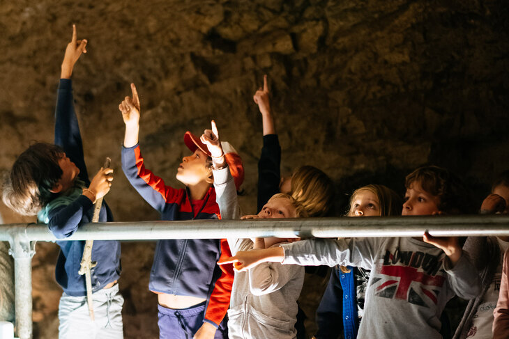 Expositions Grotte Scladina saison