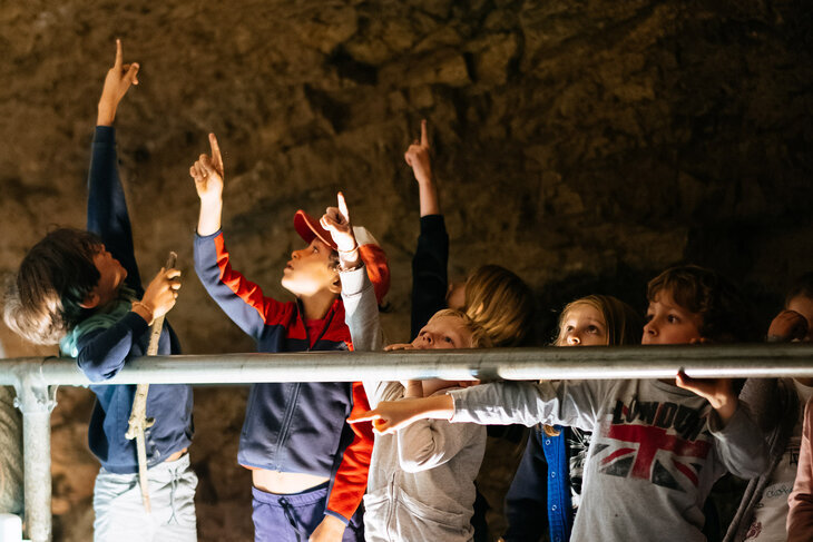 Expositions Grotte Scladina saison