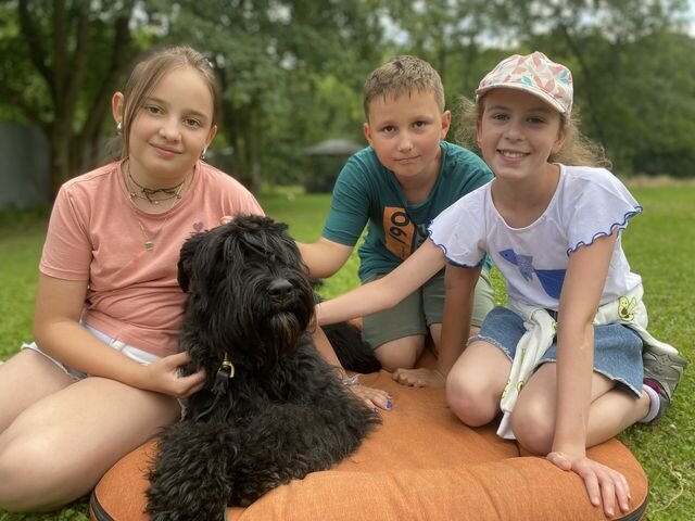 Stages,cours Stage enfant / chien congé printemps