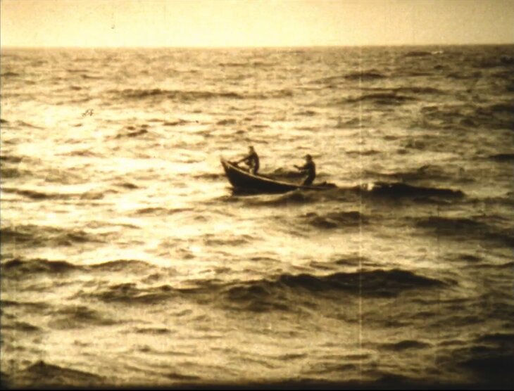 Spectacles Terre-Neuvas + Vive baleine