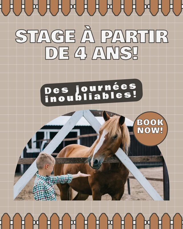 Stages,cours Stage équitation la ferme
