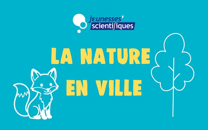 Stages,cours Stage nature ville